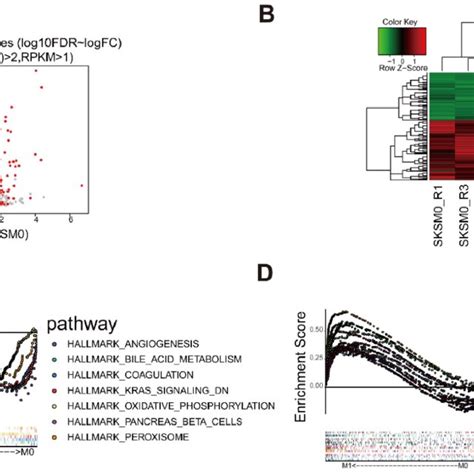 Identification Of Differential Expressed Genes Degs Following D