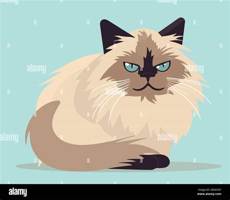 Cute Siberian Cat Flat Vector Illustration Stock Vector Image And Art Alamy