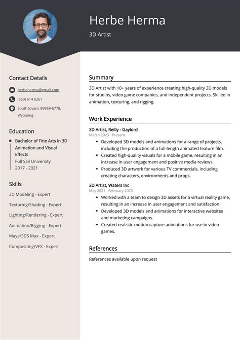 3D Artist Resume Example Free Guide