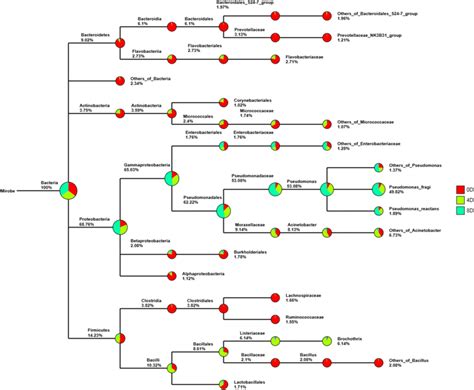 Statistical Results Of Species Classification Tree Different Color Download Scientific Diagram