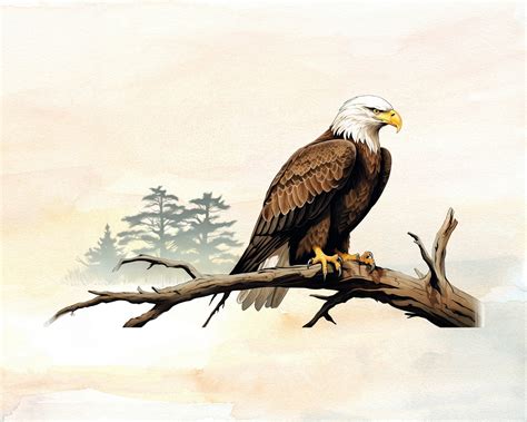 Majestic Bald Eagles Perched on a Branch Clipart - Beautiful Bald Eagle