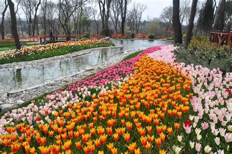 Tulip Festival The Symbol Of Istanbul Comes Alive In April Travellizy