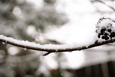 30,000+ Best Cold Russia Photos · 100% Free Download · Pexels Stock Photos