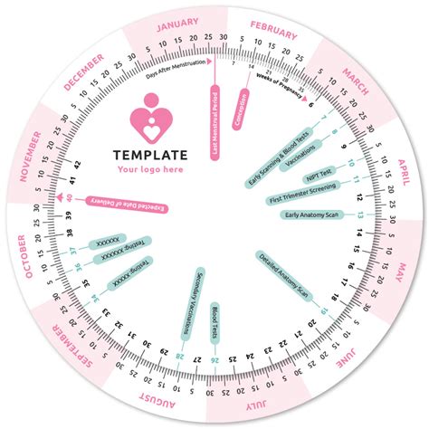 Antenatal Pregnancy Wheel Calculator - Pregnancy Wheel Calculators