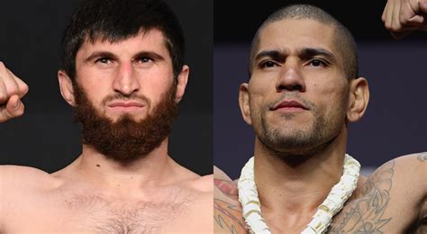 Magomed Ankalaev Discredits Alex Pereiras Striking As Overrated