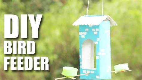 3 Amazing DIY Bird Feeder Ideas for your Backyard