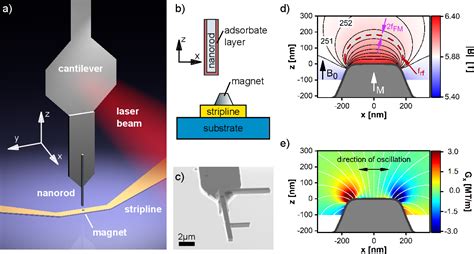 Figure 1 From Magnetic Resonance Force Microscopy With A One