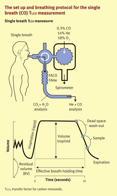 Pulmonary Function The Basics Medicine