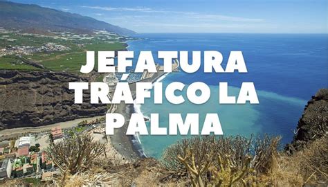 DGT La Palma Pedir Cita Previa DGT En La Palma