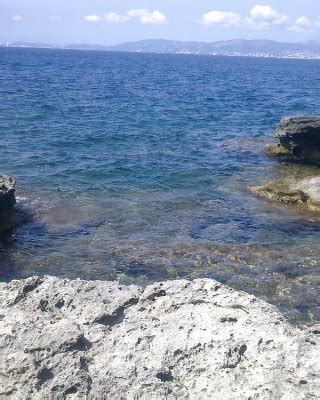 Nude In A Not Nude Beach In Mallorca Porn Pictures Xxx Photos Sex Images Pictoa