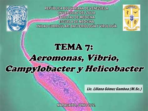 PDF TEMA 7 Aeromonas Vibrio Campylobacter Y Helicobacter DOKUMEN TIPS