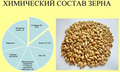 Подробно расскажем о Чем отличается ячка отсечки