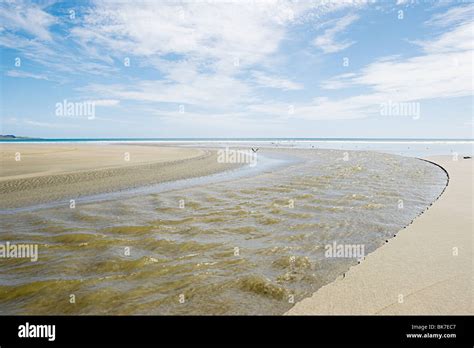 Ahipara Beach, Northland, New Zealand Stock Photo - Alamy