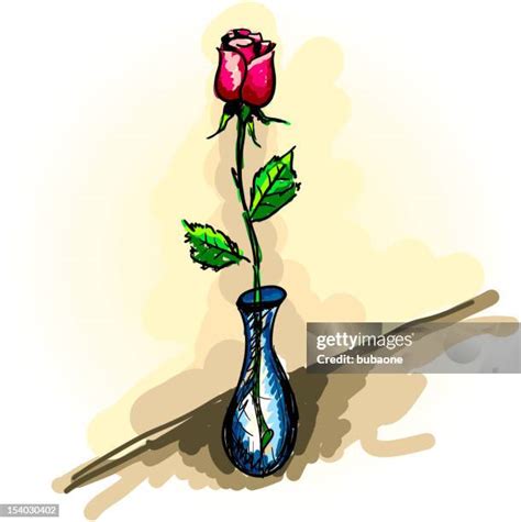 Rose Thorn Drawing High Res Illustrations - Getty Images