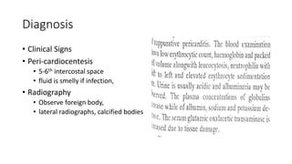 Traumatic Reticulopericarditis PPT