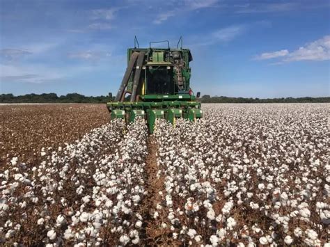 Saiba Quais S O As Cidades Da Bahia Mais Ricas No Agroneg Cio Anota Bahia