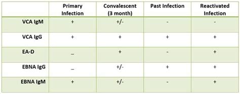 Ebv Interpretation Chart A Visual Reference Of Charts Chart Master