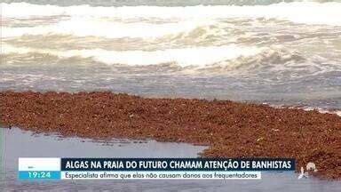 CETV 2ª Edição Algas chamam atenção de banhistas na Praia do Futuro