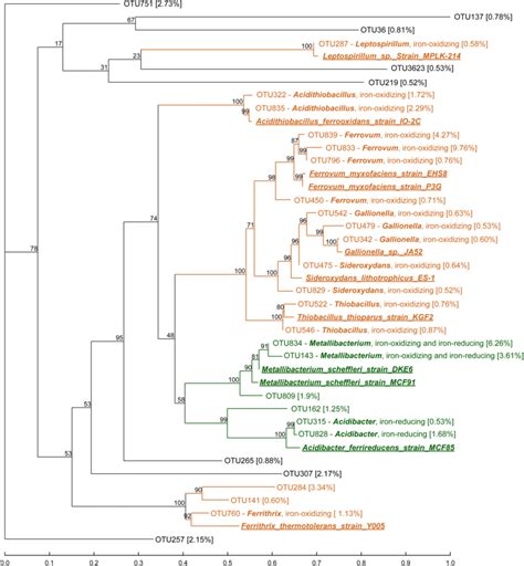 Phylogenetic Tree Of The Top Otus Relative Abundance 05 In All