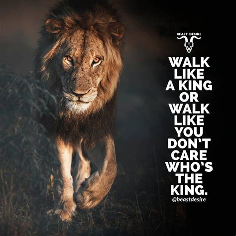 Lion Quotes HD Wallpapers - Top Free Lion Quotes HD Backgrounds ...