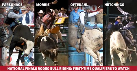 Most first-time qualifiers Bull riding: the National Finals Rodeo (NFR ...