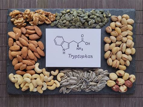 L Tryptophan Informationen Und Wirkung Auf Den Körper