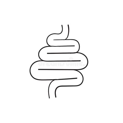 Hand Drawn Intestines Doodle Linear Icon Isolated On White Stock