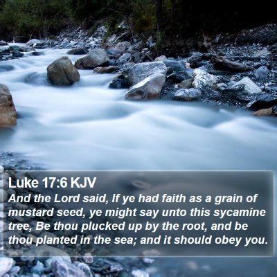 Luke 17 Scripture Images - Luke Chapter 17 KJV Bible Verse Pictures