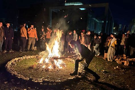 Badnjaci Gore Irom Novog Sada I U Okolini Vesti Novi Sad