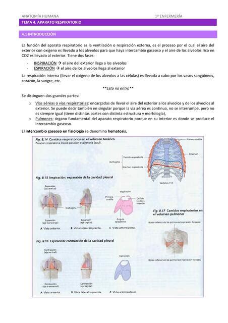 Tema 4 Aparato Respiratorio Karen Shuguli UDocz