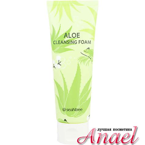 SeaNTree Пенка для умывания с экстрактом алоэ Aloe Cleansing Foam (120 ...