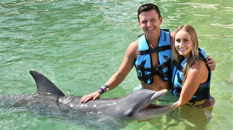 Dónde puedo nadar con Delfines en México Dolphin Discovery Blog