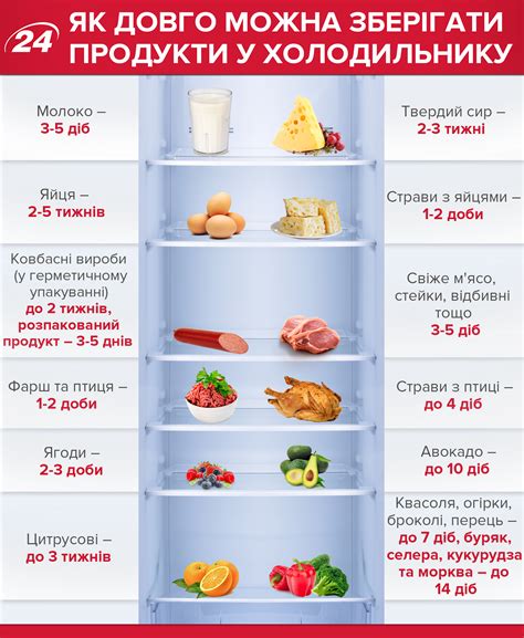 Как долго можно хранить продукты в холодильнике: инфографика - Health 24