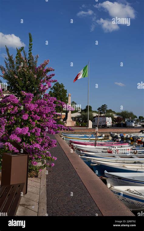 Bardolino Italie Juillet L Un Des Plus Grands Et Des Plus