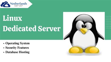 The Essential Guide To Linux Dedicated Server