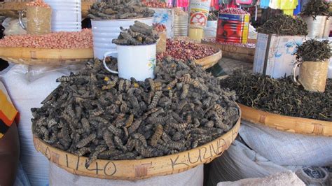 Mopane Worms Biz