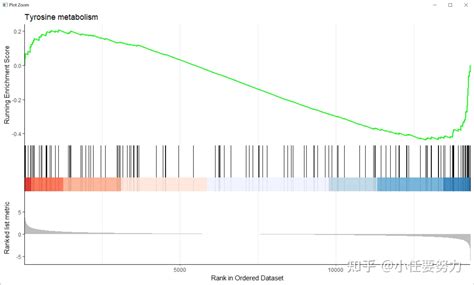 第五课基因富集分析GSVA GO KEGG GSEA 知乎