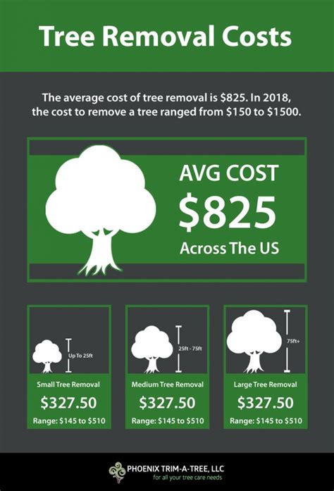 How Much Does Tree Removal Cost? - Phoenix Trim-A-Tree, LLC.