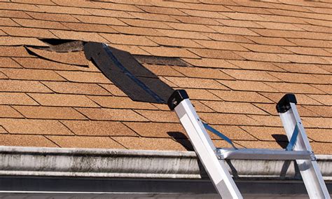 Signs You Need A Roof Replacement Refined Exteriors