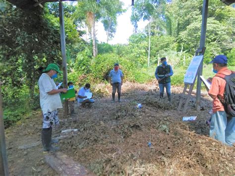 Loreto Productores De Plátano Se Gradúan Como Expertos En Buenas