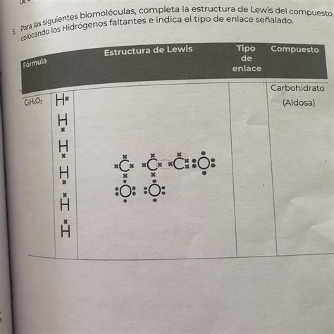 5 Para Las Siguientes Biomoléculas Completa La Estructura De Lewis