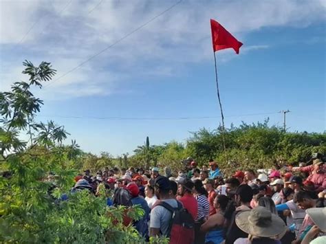 Coluna da Folha Movimento dos Sem Terra na região do São Francisco