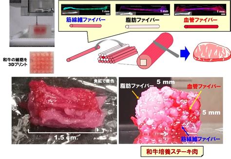 3dプリンターで｢培養肉｣を自動生産。大阪大学が島津製作所と共同研究｢万博で展示目指す｣ Business Insider Japan