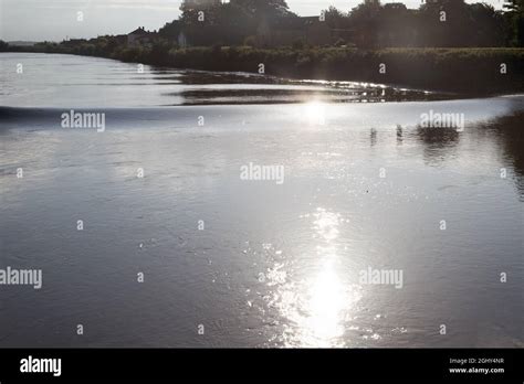 The Trent Aegir A Tidal Bore Or Eagre At West Stockwith On The Trent