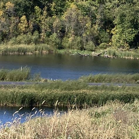 lakefront music fest 2025 2