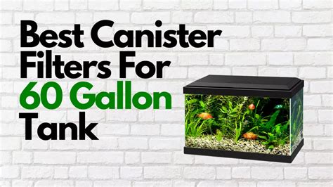 8 Best Canister Filters For 60 Gallon Tank 2025 Reviews