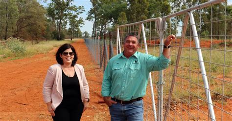 Balonne Producer Destocks Cattle And Moves Into Sheep With Exclusion