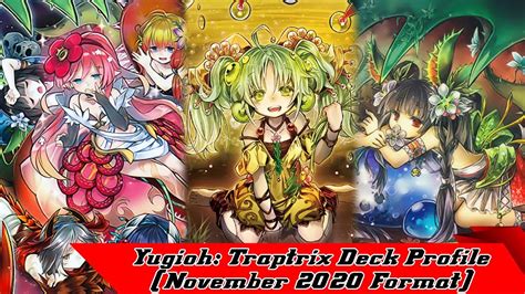 Yugioh Traptrix Deck Profile November 2020 Format YouTube