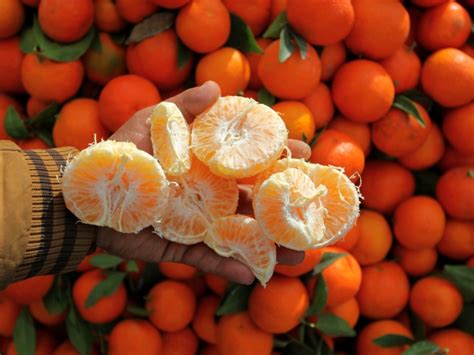 Польза мандаринов!Здоровье в каждом ломтике!🍊