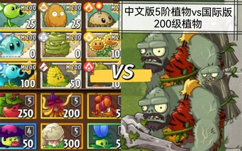 各种中文版5阶植物vs国际版m200级植物单机游戏热门视频